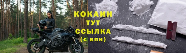прущие крисы Абаза