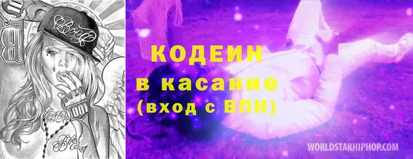 амф Щучье