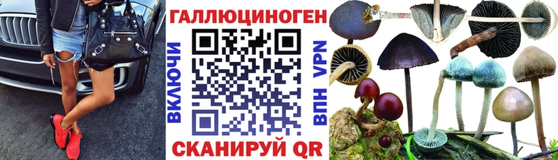 Галлюциногенные грибы мухоморы  купить закладку  omg ссылка  Нальчик 